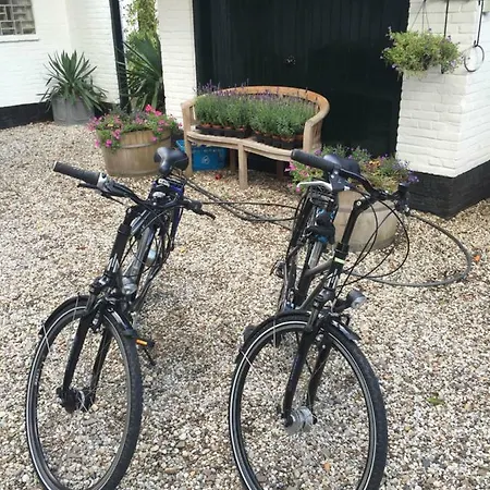 Guesthouse Warmond Warmond